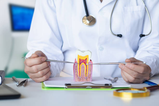 Best Emergency Gum Treatment in Suitland, MD